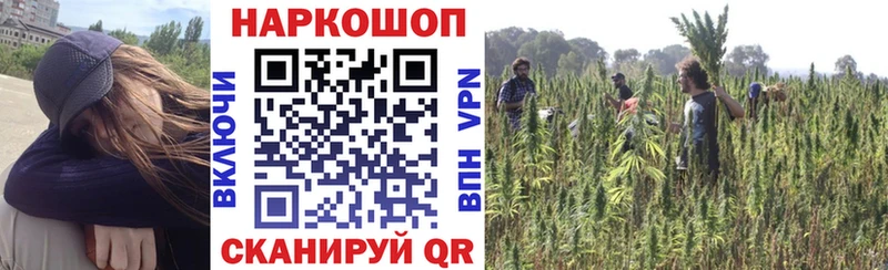 Какие есть наркотики Задонск Канабис  СОЛЬ  КОКАИН  ГАШ  МЕФ 